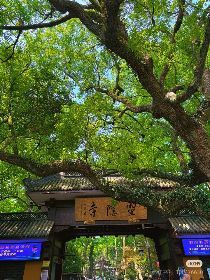 杭州雲林禅物的LOGO