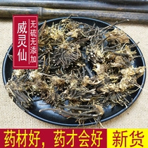 Chinese herbal medicine wild Willingxian root full root Weilingxian 500g iron broom Tiger beard iron foot powder