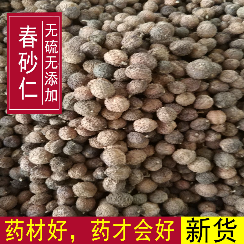 Authentic Amomum villosum 250g Yangchun Amomum villosum dried fruit sun-dried Amomum villosum