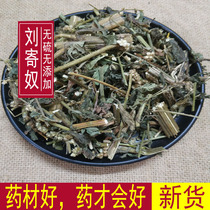 Chinese medicinal materials Liu Jinu Wild South Liu Zhinnu Jin Sailu Qi Nan Zhu Nan Jin