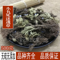 Wild Nine Dead Soul Grass Chinese Medicines Selaginella Grass Soul Grass A Jin