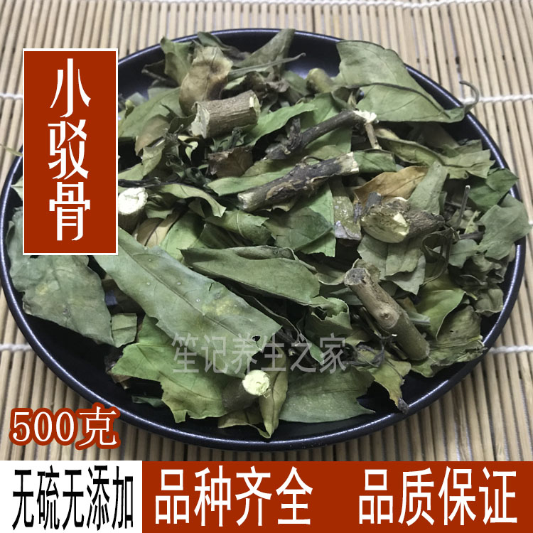 Wild Chinese herbal medicine Small barge bone grass wrapped hedge wood wood barge bone grass barge bone Dan and other large barge bone