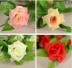 Mô phỏng hoa hồng giả hoa mây nhựa cây nho phòng khách điều hòa không khí ống quanh co sưởi ấm trang trí - Hoa nhân tạo / Cây / Trái cây hoa lan hồ điệp giả Hoa nhân tạo / Cây / Trái cây