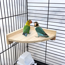 Yuedi parrot cage rest table Solid wood springboard springboard BIRD toy Xuanfeng wren starling bird supplies