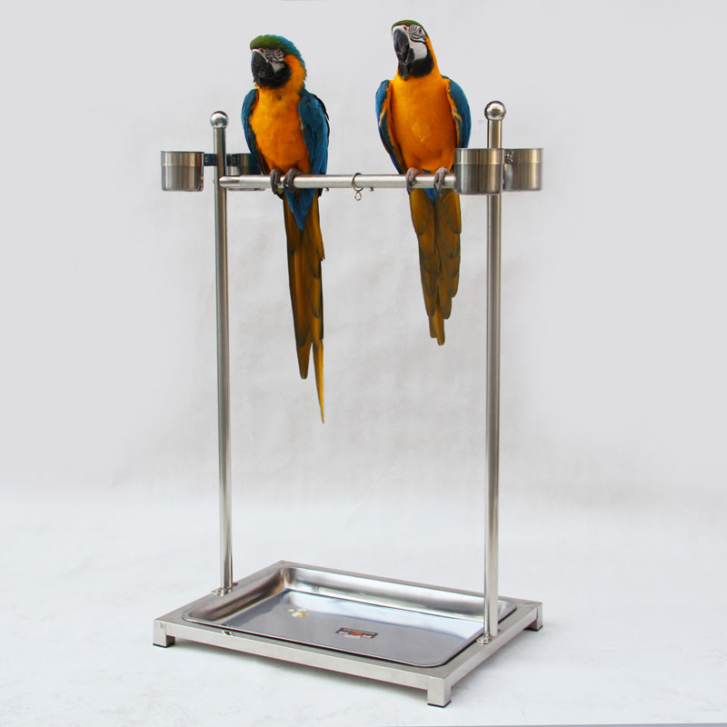 [USD 60.89] Macaw stainless steel parrot stand supplies stand pole