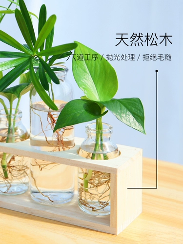 Nordic ins feng гидропонный ваза прозрачный