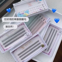 DREAM DEER single cluster fishtail false eyelashes segmented lower eyelashes natural simulation without makeup 0 07 C