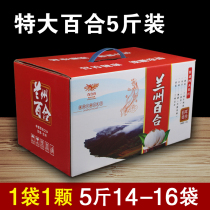 Lanzhou extra large lily 5 catties gift box freshly dug fresh edible sweet lily special grade sulfur-free new product Gansu specialty