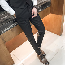 Spring and summer mens business casual pants youth small trousers slim mens elastic straight small feet suit mens pants