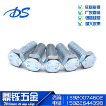 GBT5782 5783 8 level 8 high-strength full teeth plated blue and white zinc external hexagon bolt screw screw bolt