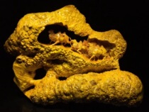 Golden Camphor Silk Road ornaments Golden Silk Nanya Cypress gloomy ornaments