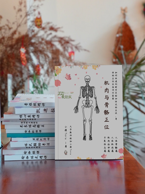 Human Body Muscles and Bones in a Frontal View, Including Muscle and Bone Memory Mnemonics, Muscle Stretching