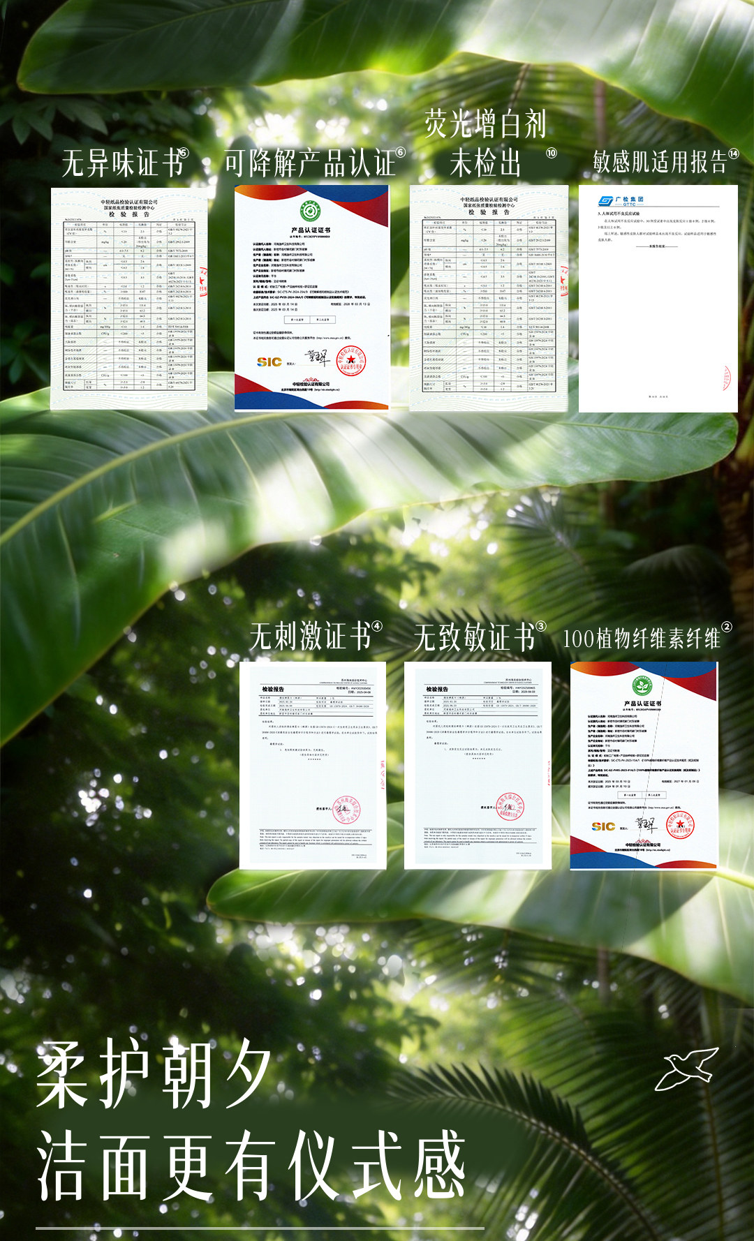 安享好物 安享B级洗脸巾-德佑飞鸟洗脸巾 国标 
