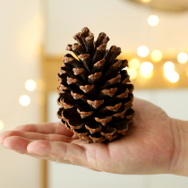 Christmas decorations large log pine cone desktop ornaments decoration scene arrangement Christmas tree pendant