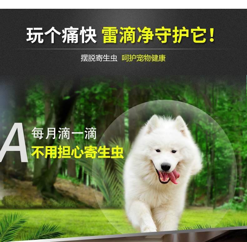 Ramical vitro chó anthelmintic để giọt bọ chét chó mèo là Mèo con Teddy Ngoài thuốc chấy bọ ve - Cat / Dog Medical Supplies máy siêu âm cho chó mèo