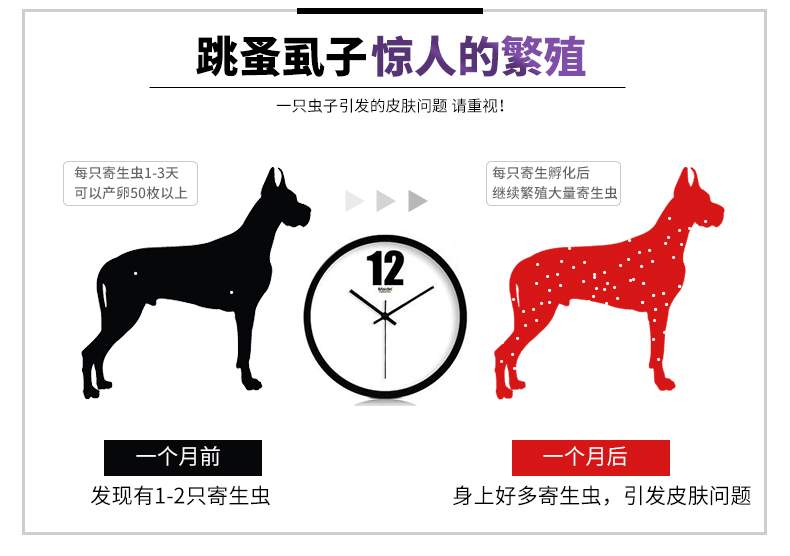Ramical vitro chó anthelmintic để giọt bọ chét chó mèo là Mèo con Teddy Ngoài thuốc chấy bọ ve - Cat / Dog Medical Supplies máy siêu âm cho chó mèo