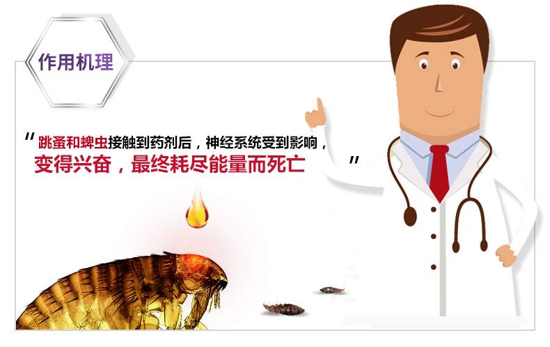 Ramical vitro chó anthelmintic để giọt bọ chét chó mèo là Mèo con Teddy Ngoài thuốc chấy bọ ve - Cat / Dog Medical Supplies máy siêu âm cho chó mèo
