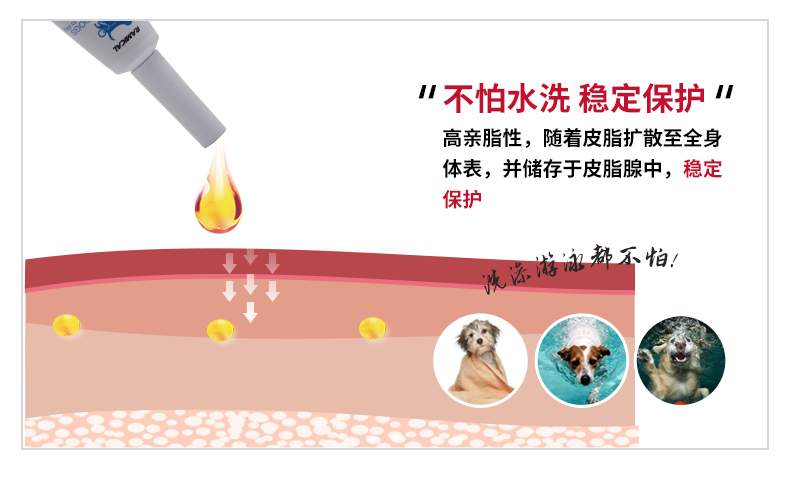 Ramical vitro chó anthelmintic để giọt bọ chét chó mèo là Mèo con Teddy Ngoài thuốc chấy bọ ve - Cat / Dog Medical Supplies máy siêu âm cho chó mèo