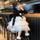 Girls dress autumn 2022 new children's long-sleeved mesh skirt girl autumn fluffy princess dress