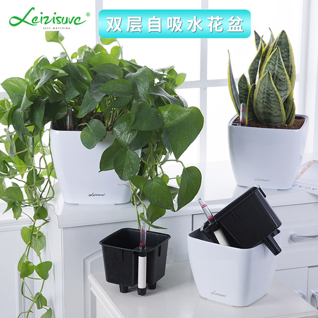 Square green radish flower pot green basket succulent plant lazy flower pot extra-large diameter small automatic water-absorbing flower pot plastic