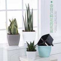 Lai Zhixiu creative square automatic absorbent flower pot small office desktop Green Luo lazy plastic flower pot
