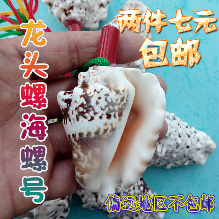 Natural Sea Snail Shell Craft Gift Pendulum accessories Snail Horn Snails Children's Gift Festival Celebrate Gift Ground Showdown Hot Sell