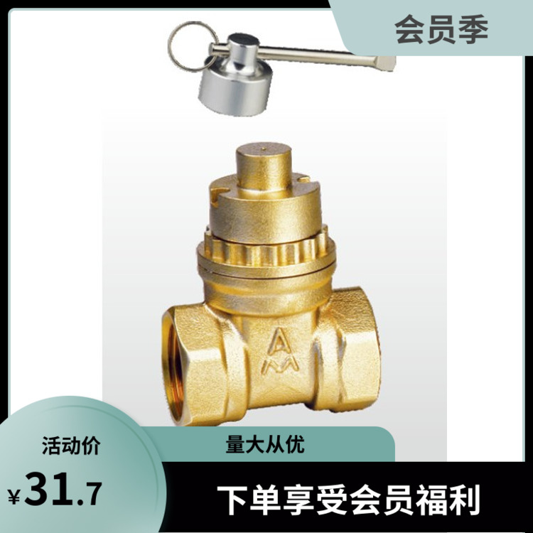 Emeko 198 Brass Magnetic Lock Gate Valve Wire Lock Gate Valve Water Meter with 4 Points 6 Points DN15 20