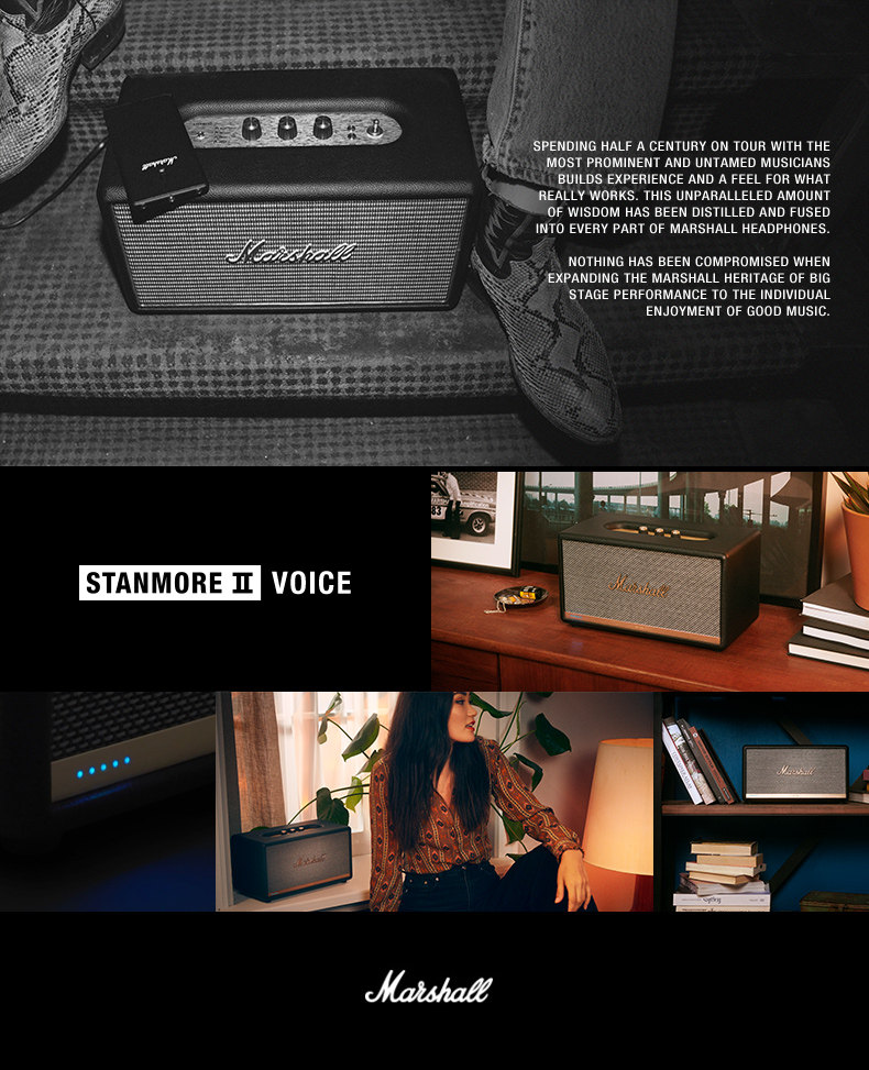 Stanmore-2-Voice-Details Brown Version_17.jpg
