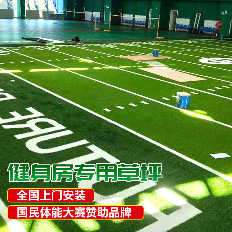 Fitness Room Lawn Rug Private Teaching Manual Simulation Ground Mat White Line Runway Scale Pattern Custom Artificial Fake Turf