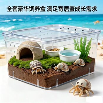 Hermit crab breeding box set, crab, sand crab, crab breeding box, landscaping tank, special hermit crab supplies set