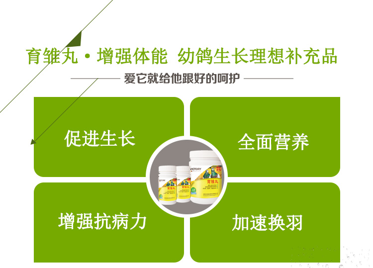 Chim bồ câu y học Chim bồ câu y học chăn nuôi gà con đua chim bồ câu cung cấp thuốc trẻ chim dinh dưỡng sinh sản Bao Bao - Chim & Chăm sóc chim Supplies lồng chim sắt