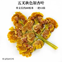 Пентас осень -розовый лист гинкго