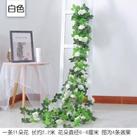 Роза красный 11 французский белый