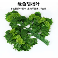 Зеленый лист населения