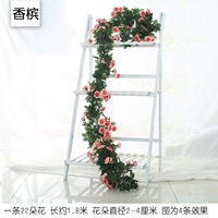 Черное 22 розовое шампанское