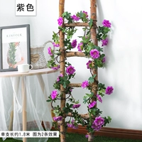 Светло -зеленый десять миль ароматных мягких полосок фиолетовых фиолетовых