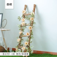 Апельсиновое шампанское с апельсином 13