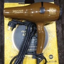 Jiuya Yiliu High Power Hairdryer Filament Domain Anti-Fall Hair Type Special Home Hairdryer Mini UV