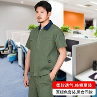 Армейский Зеленый