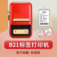 B21 Stand -Alone [исключая бумагу с меткой]