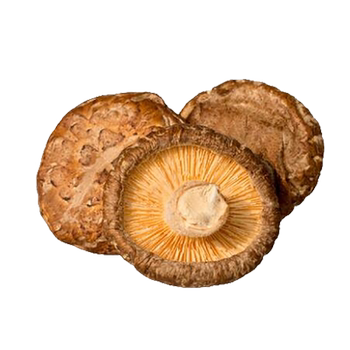 ຜົງ ganoderma spore ເສີມພູມຕ້ານທານຂອງ lin zhongbao