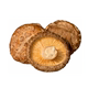 ຜົງ Ganoderma Spore ເສີມພູມຕ້ານທານຂອງ Lin Zhongbao