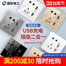 International Electrician Switch Socket Panel Golden Ash USB5 Five porous with connector Quick charge 86 Type full house suit