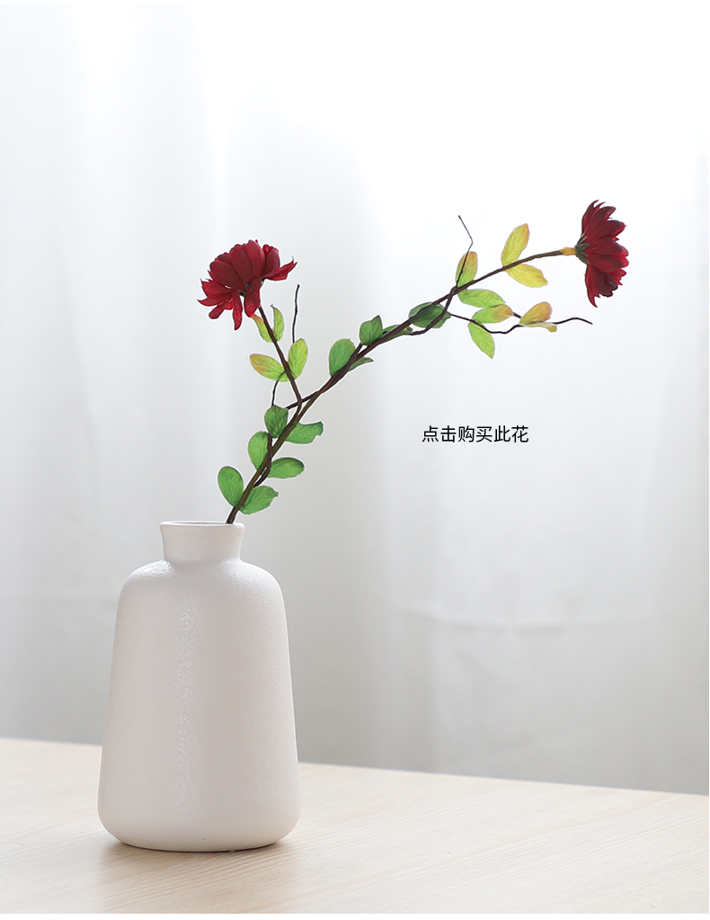 South simulation flowers, dried flowers sheng I and contracted household act the role ofing is tasted ceramic vase hydroponic ins wind flowers, flower arranging furnishing articles