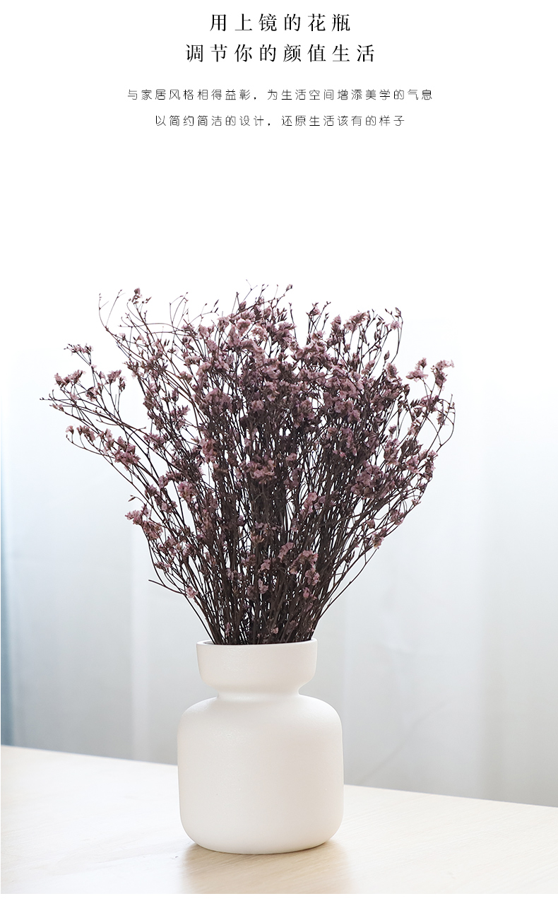 Nan sheng household act the role ofing is tasted simulation flowers, dried flowers, artificial flowers, ceramic vases, I and contracted ins wind mesa place adorn article
