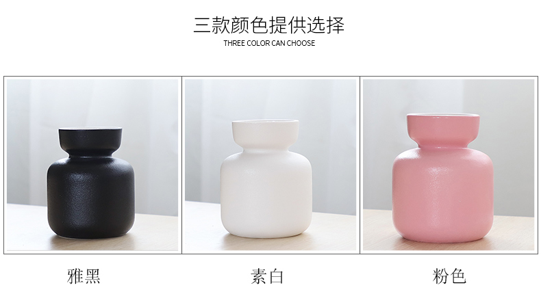 Nan sheng household act the role ofing is tasted simulation flowers, dried flowers, artificial flowers, ceramic vases, I and contracted ins wind mesa place adorn article