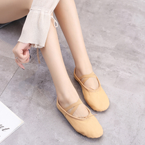 Dance shoes childrens and womens soft-soled exercises adult body yoga ballet shoes two-soled cat claw shoes bodybuilding gymnastics