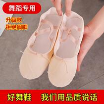 Soft Bottom Ballet Footwear Body Shoes Yoga Shoes Men And Women Children Practice Shoes Dance Shoes Cat Paw Shoes Bodybuilding Gymnastics