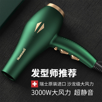 Barber shop hair salon dedicated electric hair dryer negative ion hair care high power silent dormitory home Blower