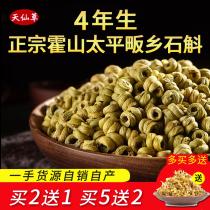 Buy two get one free Anhui authentic Huoshan iron Dendrobium premium Maple Dendrobium health tea Dendrobium Chinese Herbal medicine 500g